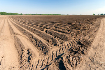 Freshly plowed soil in the Great Hungarian Plain