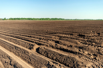 Freshly plowed soil in the Great Hungarian Plain