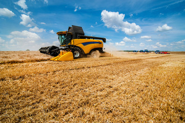 landscape of wheat field with combine harvester, sky with beautiful clouds