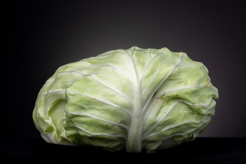 Texture and veins resembling a tree shape with branches of an Iceberg lettuce vegetable crop with smooth sturdy surface. Low key studio shot of food against a dark background