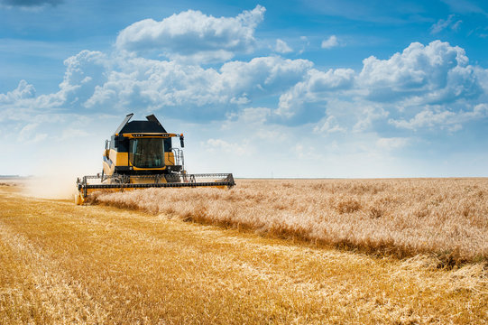 landscape view of combine harvesting cereals, wheat field and sky with beautiful clouds