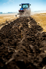 blue tractor pulls plow, tillage closeup in focus, agrarian preparing field