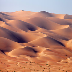 Fototapeta na wymiar Desert landscape in the UAE, sand dunes