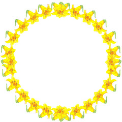 illustration yellow lily round frame