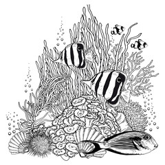 Black and white reef scenery with corals, shells, bubbles and fishes. © JeannaDraw