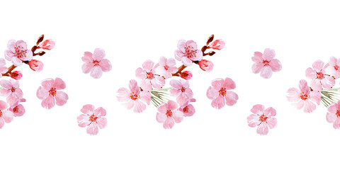 Watercolor seamless border drawing with branches and cherry blossoms