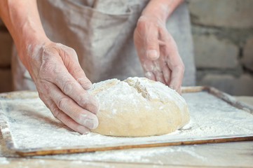 Baker's hands and wheat bread before baking. rustic style