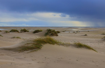 In the Dunes at the Beach of Amrum, Germany, Europe
