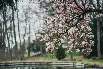 Domaine des r&eacute;aux, friches