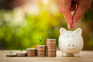 Hand putting coins in a piggy bank for save money with sun light bokeh background and tree growing on coin. Saving Money concept. - obrazy, fototapety, plakaty