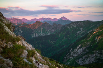 Rocky Carpathian mountains covered with green vegetation with a pink shadow on them due to sunset