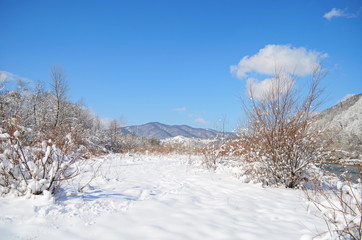 forest wild river landscape with snow at spring