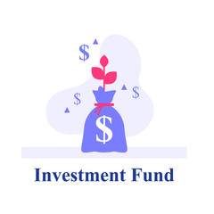 Money bag capital growth, earn more money, investment strategy, revenue growth, income increase, high interest