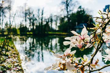 Domaine des r&eacute;aux, friches