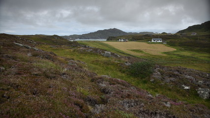 Colonsay