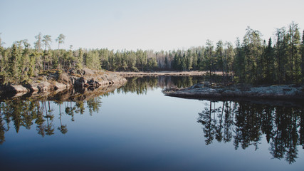 Fototapeta premium reflection of trees in the lake