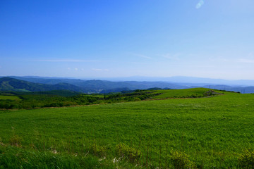 Fototapeta na wymiar 初夏の寺沢高原。遠野、岩手、日本。5月下旬。