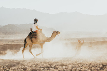 a ride on the camel