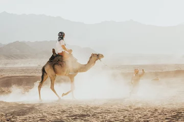 Deurstickers a ride on the camel © Valeriysurujiu