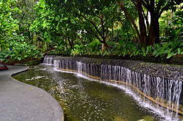 Small pond with water cacade in the Singapore botanic garden
