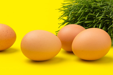 Brown eggs on green grass, isolated on yellow background.