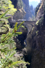 Tannenzweig vor einer Brücke über eine Schlucht