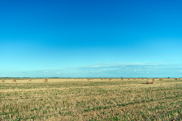 Agriculture field with hay bales and blue sky