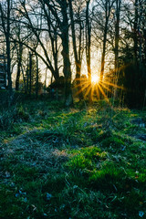 Domaine des r&eacute;aux, friches