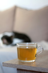 Cup of tea ona living room table. Cat sleeping on a couch in the background. Selective focus.
