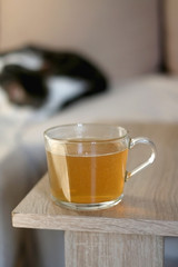 Cup of tea ona living room table. Cat sleeping on a couch in the background. Selective focus.