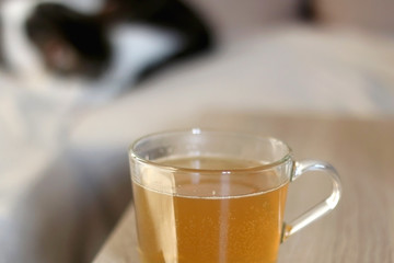 Cup of tea ona living room table. Cat sleeping on a couch in the background. Selective focus.