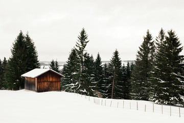 Obraz na płótnie Canvas Snowy Log Cabin In Pine Tree Evergreen Forest On A Mountain