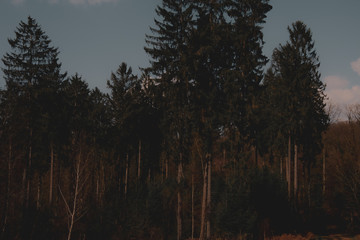 Hintergrund Natur im Frühling