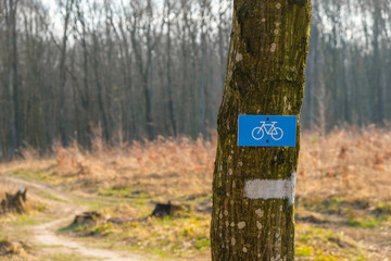 Bicycle forest track in Ukraine. Blue bicycle track sign.