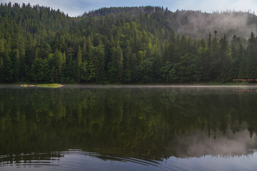Synevyr mountain lake. Carpathians Mountains, Ukraine