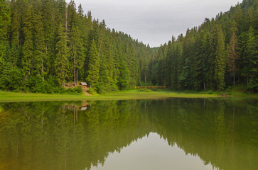 Synevyr mountain lake, Ukraine