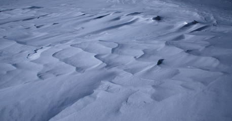 Obraz premium Details in the snow