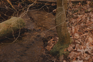 Kleiner Bach in der Natur 