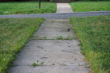 side walk path 