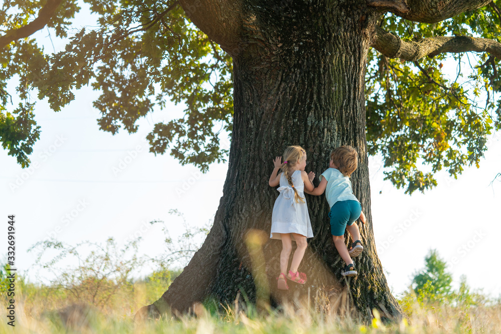 Wall mural little boy and girl climbing tree on meadow. childhood youth growth.