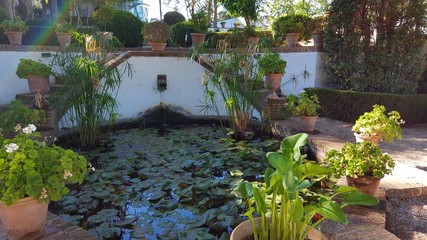 pond in andalusia