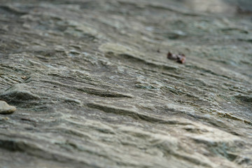 rock texture macro 