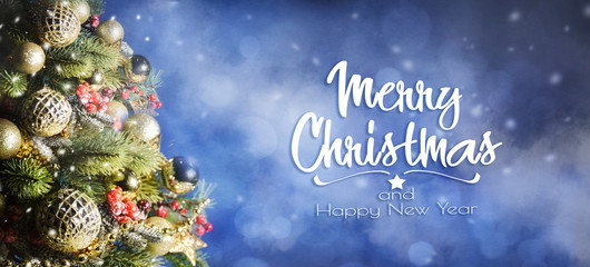 Fototapeta na wymiar Christmas and New Year holidays background, winter season. Christmas tree