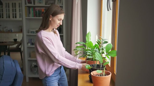 Young woman puts plants on a windowsill in her trendy city apartment. Girl decorates the apartment. Creates comfort at home. 4k