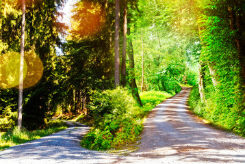 Two paths lead in different directions