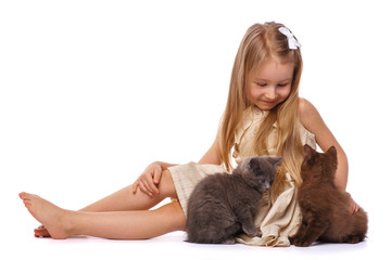 Little cute girl with a gray british kitten
