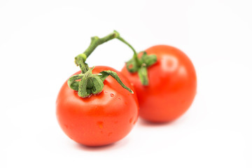 Two ripe fresh organic tomatoes on a branch with dewdrops isolated on a white background.