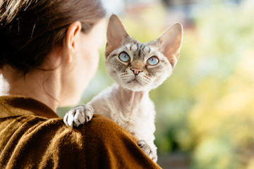 lifestyle image with a woman holding his beautiful cat. dressing casual. the devon rex cat loves his owner.