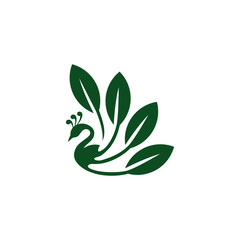 Peacock leaf logo