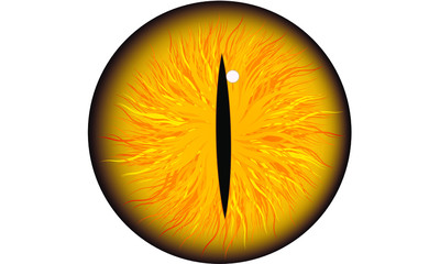 red iris eye ball pupil icon, dragon cat wolf eye